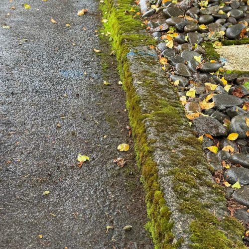 PRESSURE-WASHING-IN-WILSONVILLE-BEFORE PRESSURE WASHING IN WILSONVILLE BEFORE