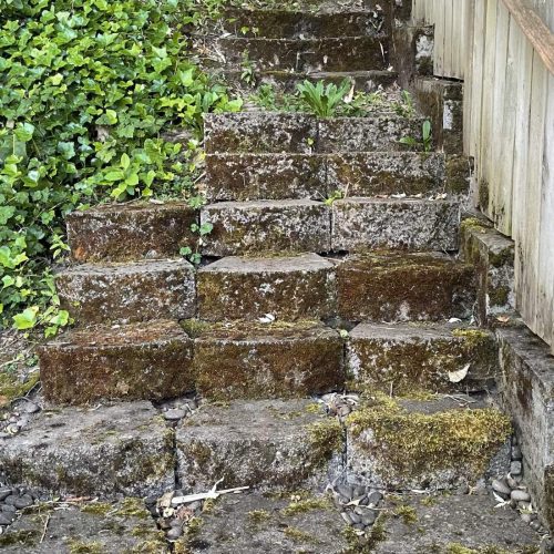 PRESSURE-WASHING-WILSONVILLE-BEFORE PRESSURE WASHING WILSONVILLE BEFORE