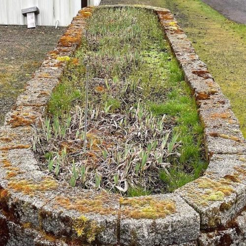 PRESSURE-WASHING-WILSONVILLE-OR-BEFORE PRESSURE WASHING WILSONVILLE OR BEFORE