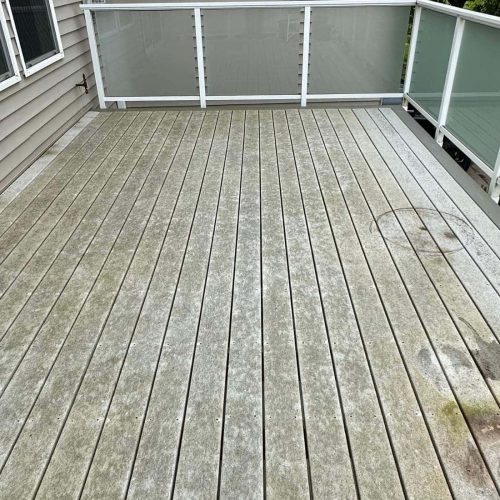 WILSONVILLE-PRESSURE-WASHING-BEFORE WILSONVILLE PRESSURE WASHING BEFORE