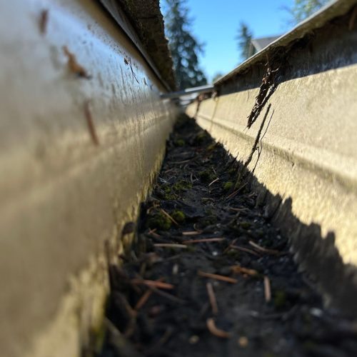 Gutter Cleaning Vancovuer