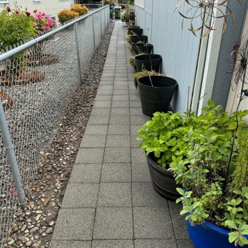 pressure washing kelso six after