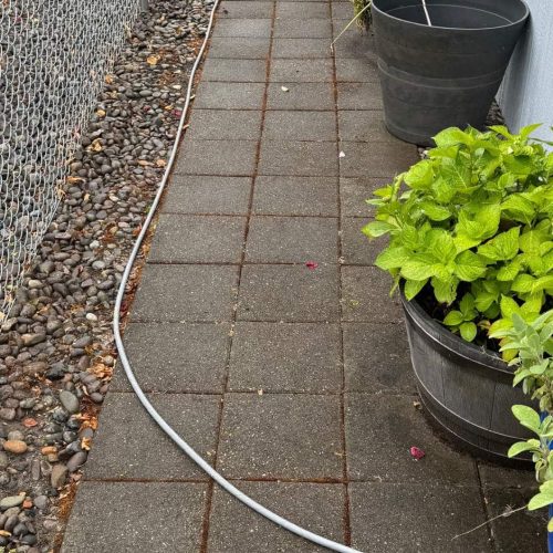 pressure-washing-longview pressure washing longview