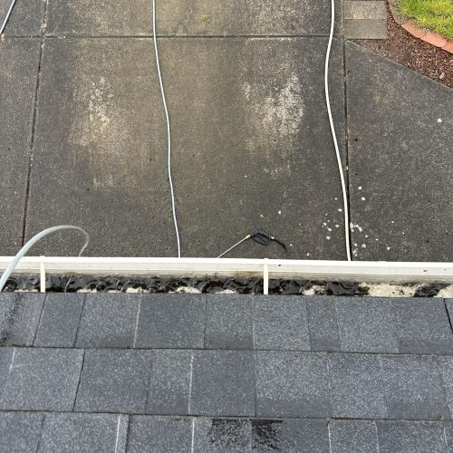 roof cleaning vancouver