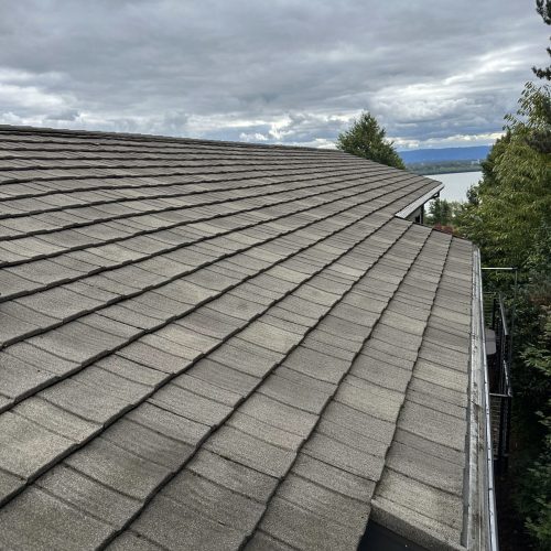 roof soft washing vancouver wa