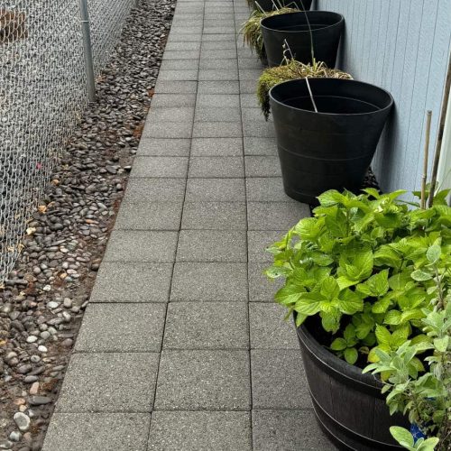 soft-washing-longview-wa soft washing longview wa