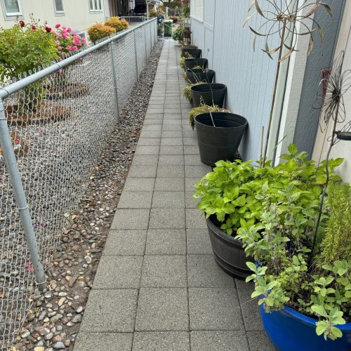 yacolt wa pressure washing paver path after