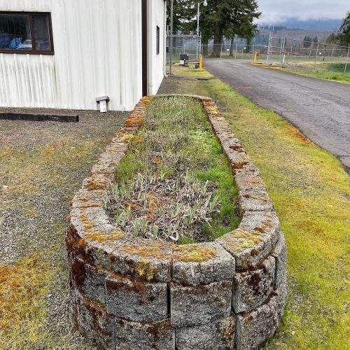 yacolt-wa-pressure-washing