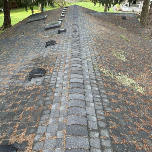 yacolt wa pressure washing roof before